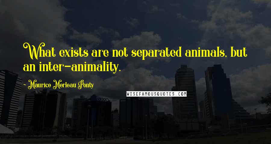 Maurice Merleau Ponty Quotes: What exists are not separated animals, but an inter-animality.