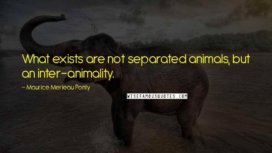 Maurice Merleau Ponty Quotes: What exists are not separated animals, but an inter-animality.