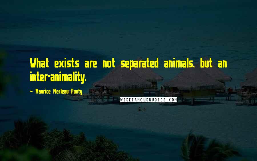 Maurice Merleau Ponty Quotes: What exists are not separated animals, but an inter-animality.