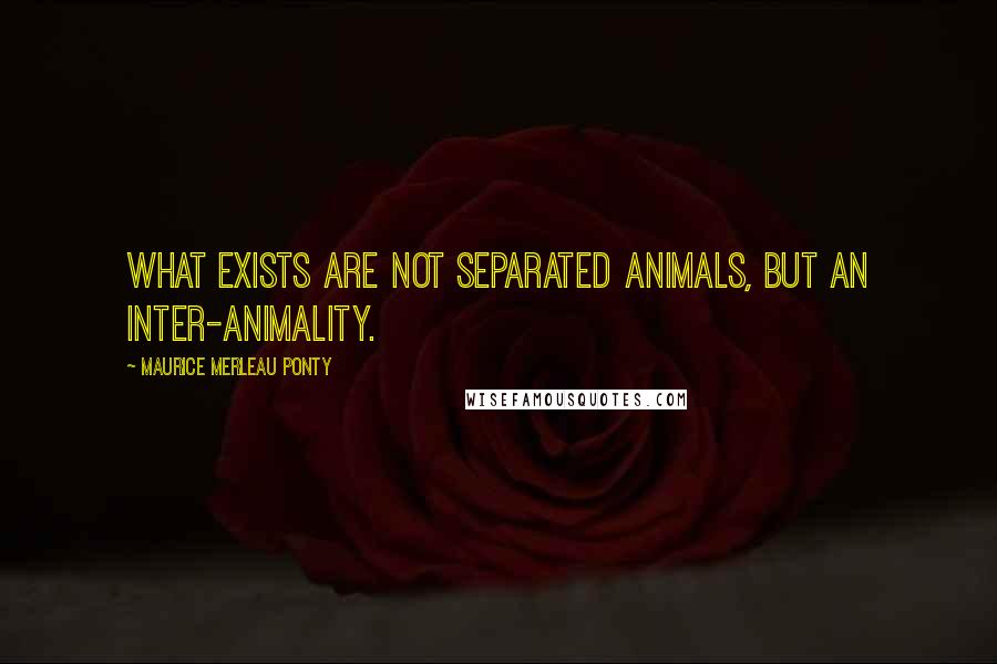 Maurice Merleau Ponty Quotes: What exists are not separated animals, but an inter-animality.