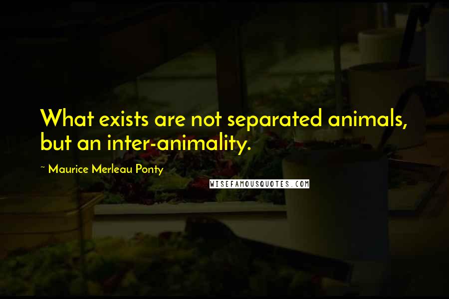 Maurice Merleau Ponty Quotes: What exists are not separated animals, but an inter-animality.