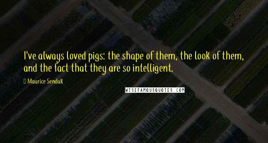 Maurice Sendak Quotes: I've always loved pigs: the shape of them, the look of them, and the fact that they are so intelligent.