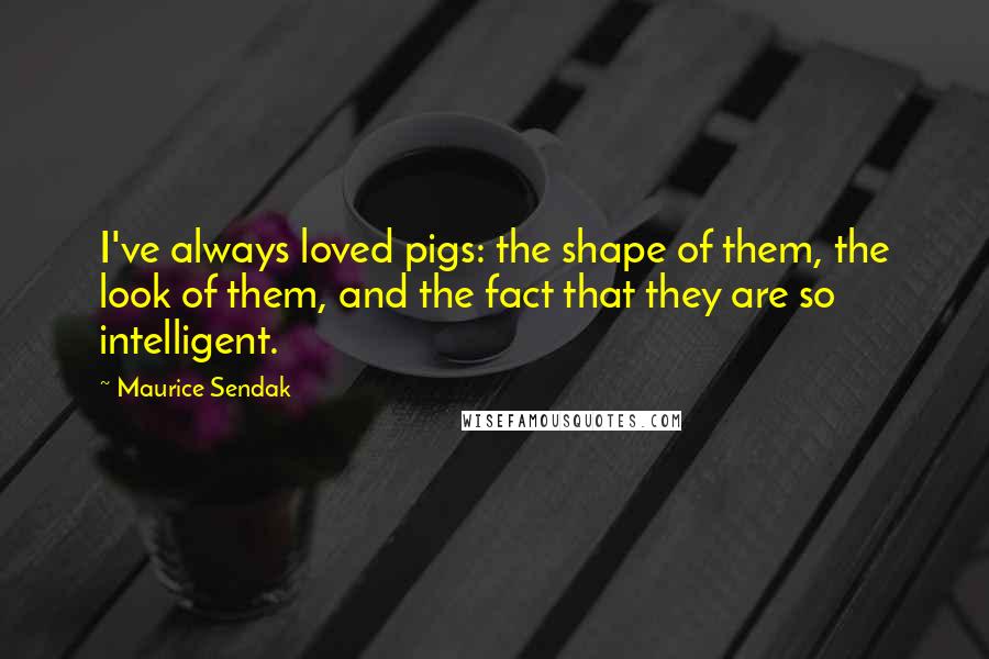 Maurice Sendak Quotes: I've always loved pigs: the shape of them, the look of them, and the fact that they are so intelligent.