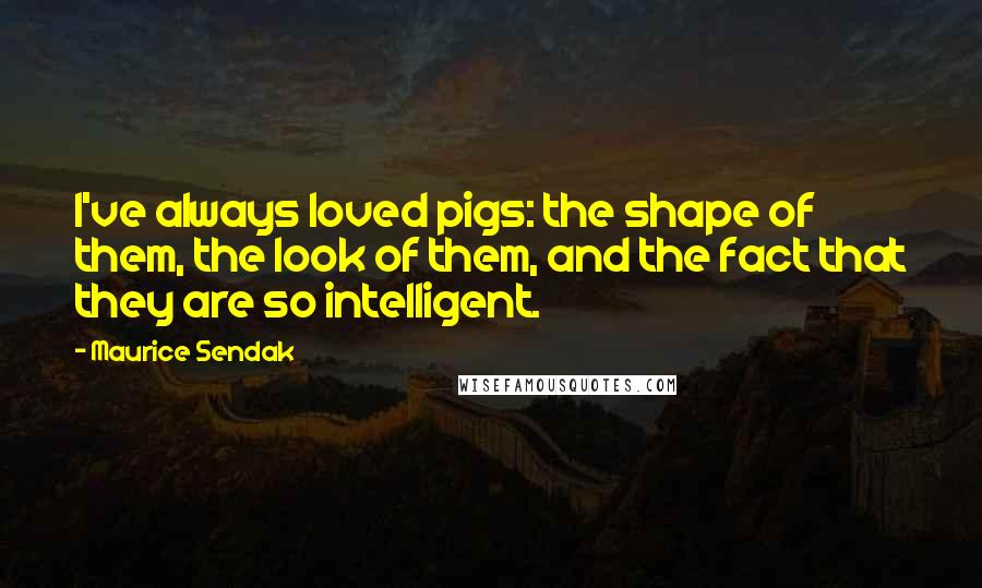 Maurice Sendak Quotes: I've always loved pigs: the shape of them, the look of them, and the fact that they are so intelligent.