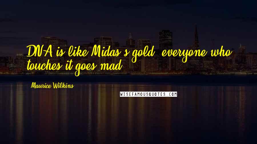 Maurice Wilkins Quotes: DNA is like Midas's gold, everyone who touches it goes mad.