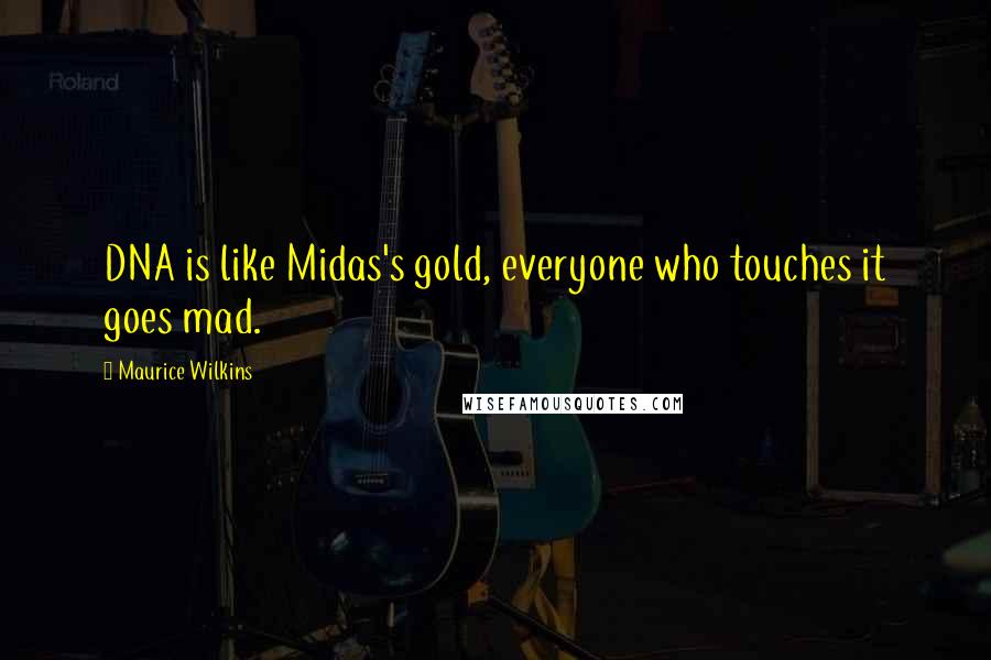 Maurice Wilkins Quotes: DNA is like Midas's gold, everyone who touches it goes mad.