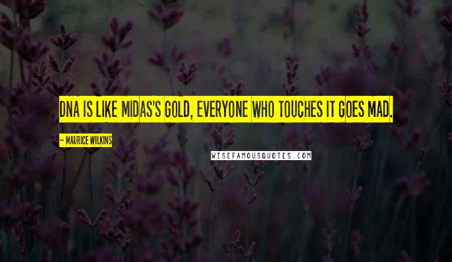 Maurice Wilkins Quotes: DNA is like Midas's gold, everyone who touches it goes mad.