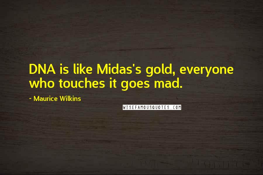 Maurice Wilkins Quotes: DNA is like Midas's gold, everyone who touches it goes mad.