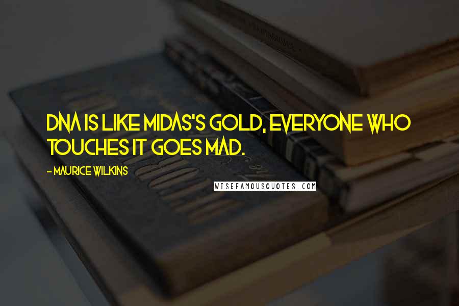 Maurice Wilkins Quotes: DNA is like Midas's gold, everyone who touches it goes mad.