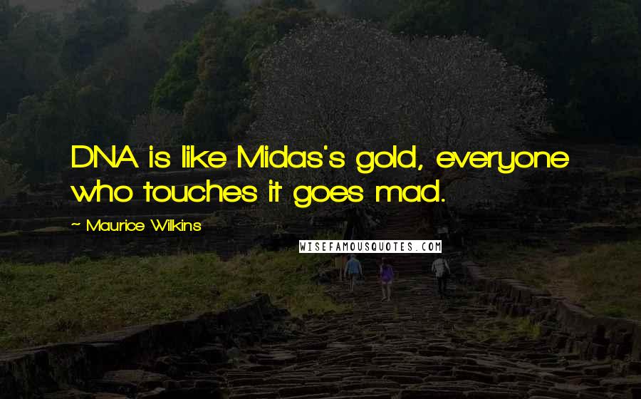 Maurice Wilkins Quotes: DNA is like Midas's gold, everyone who touches it goes mad.