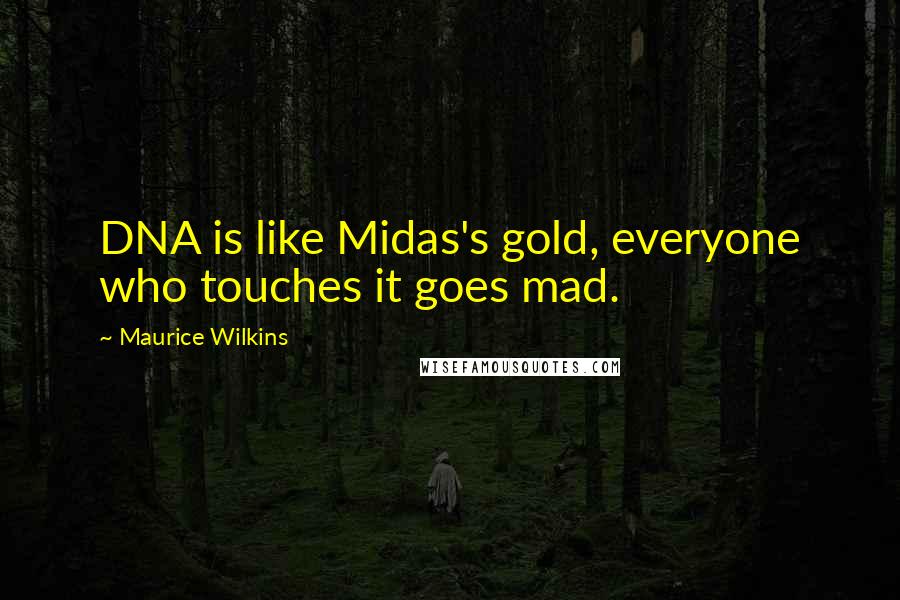 Maurice Wilkins Quotes: DNA is like Midas's gold, everyone who touches it goes mad.