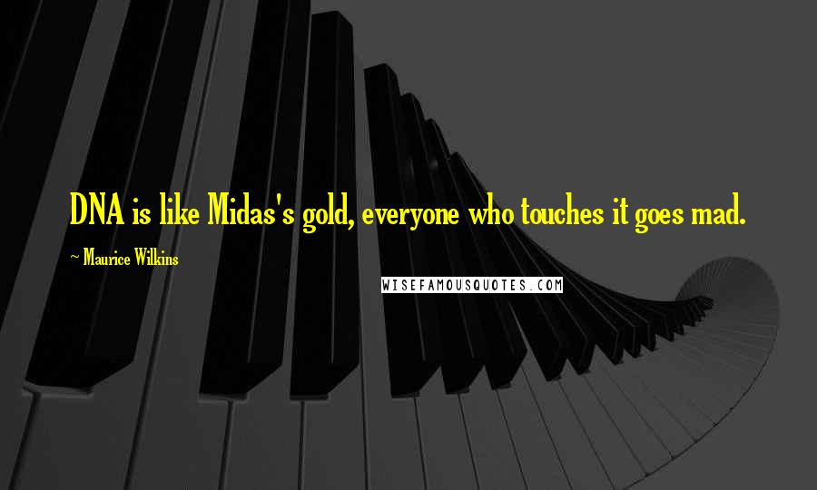 Maurice Wilkins Quotes: DNA is like Midas's gold, everyone who touches it goes mad.