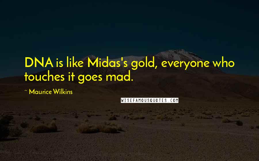 Maurice Wilkins Quotes: DNA is like Midas's gold, everyone who touches it goes mad.