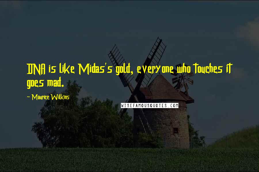 Maurice Wilkins Quotes: DNA is like Midas's gold, everyone who touches it goes mad.