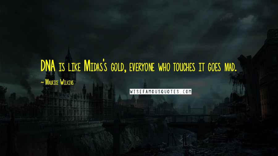 Maurice Wilkins Quotes: DNA is like Midas's gold, everyone who touches it goes mad.