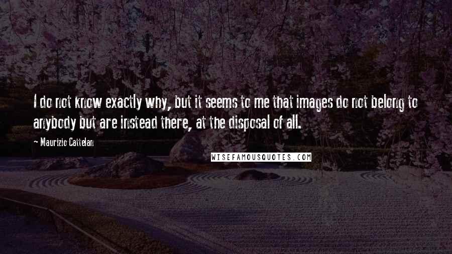 Maurizio Cattelan Quotes: I do not know exactly why, but it seems to me that images do not belong to anybody but are instead there, at the disposal of all.