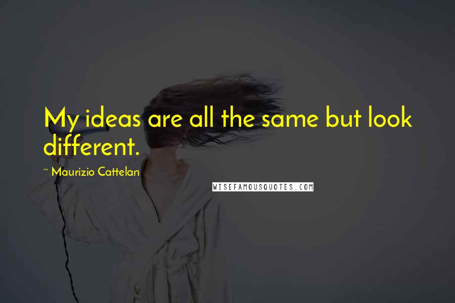 Maurizio Cattelan Quotes: My ideas are all the same but look different.