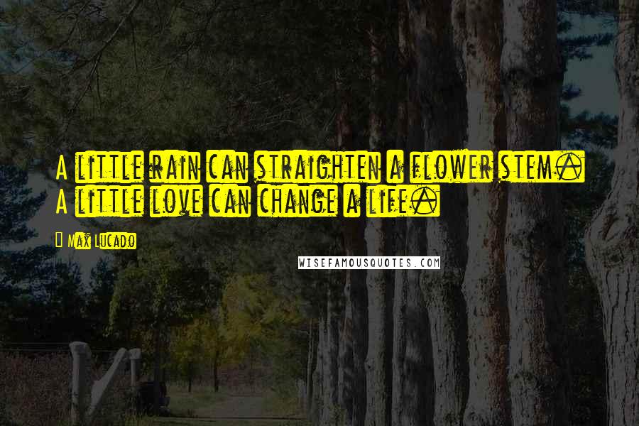 Max Lucado Quotes: A little rain can straighten a flower stem. A little love can change a life.