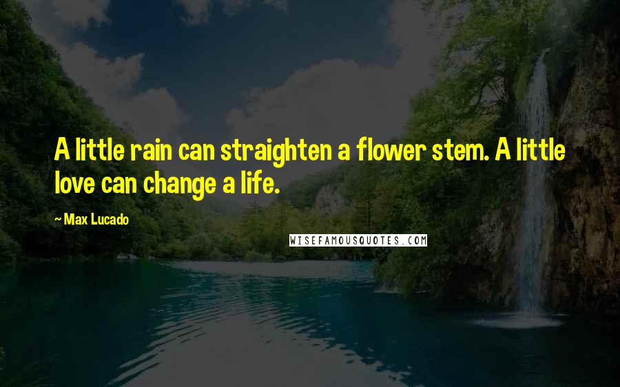 Max Lucado Quotes: A little rain can straighten a flower stem. A little love can change a life.