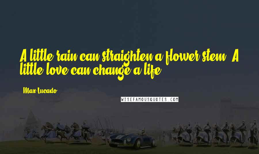 Max Lucado Quotes: A little rain can straighten a flower stem. A little love can change a life.