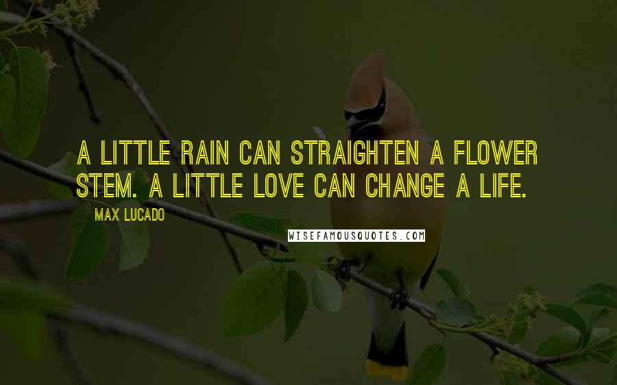 Max Lucado Quotes: A little rain can straighten a flower stem. A little love can change a life.