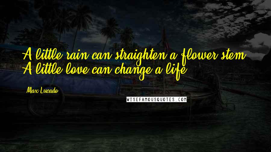 Max Lucado Quotes: A little rain can straighten a flower stem. A little love can change a life.