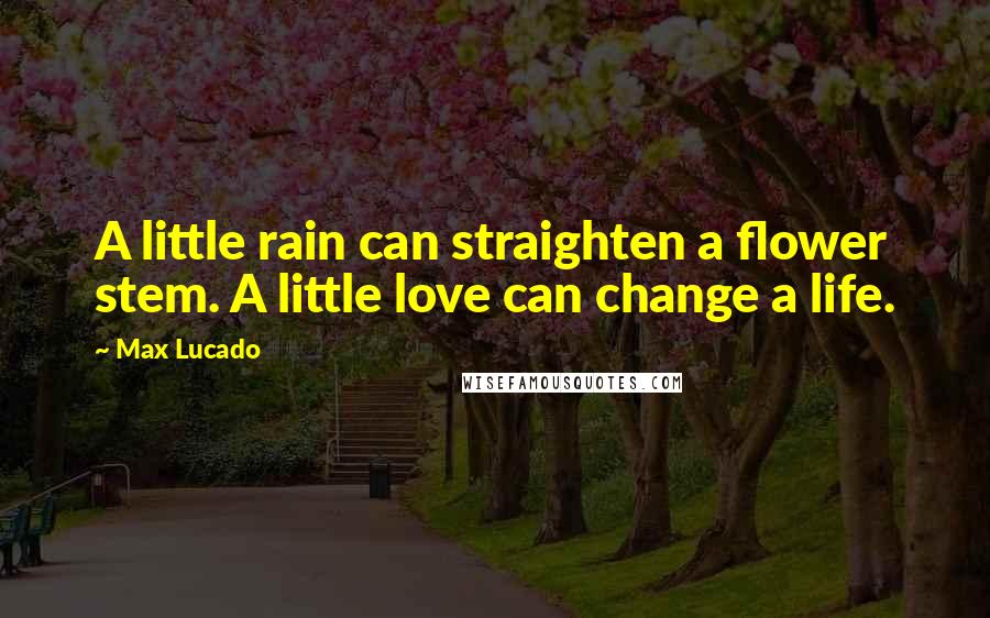 Max Lucado Quotes: A little rain can straighten a flower stem. A little love can change a life.