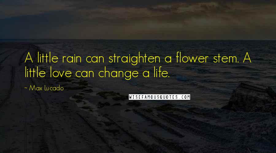 Max Lucado Quotes: A little rain can straighten a flower stem. A little love can change a life.