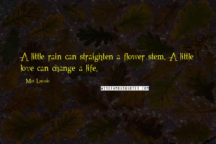 Max Lucado Quotes: A little rain can straighten a flower stem. A little love can change a life.