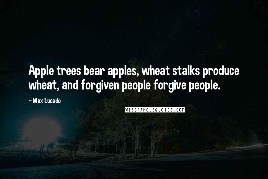 Max Lucado Quotes: Apple trees bear apples, wheat stalks produce wheat, and forgiven people forgive people.