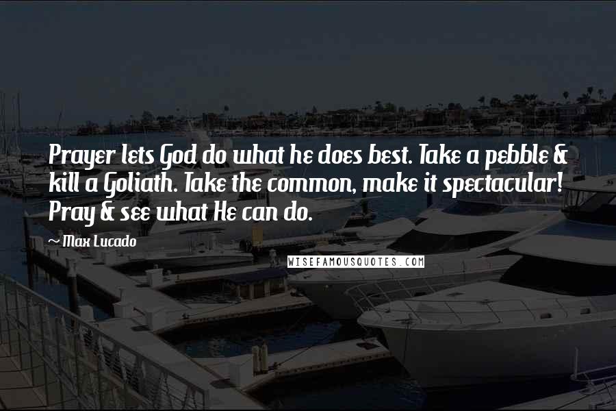 Max Lucado Quotes: Prayer lets God do what he does best. Take a pebble & kill a Goliath. Take the common, make it spectacular! Pray & see what He can do.