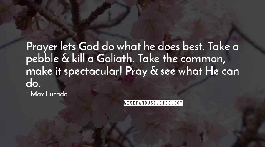 Max Lucado Quotes: Prayer lets God do what he does best. Take a pebble & kill a Goliath. Take the common, make it spectacular! Pray & see what He can do.