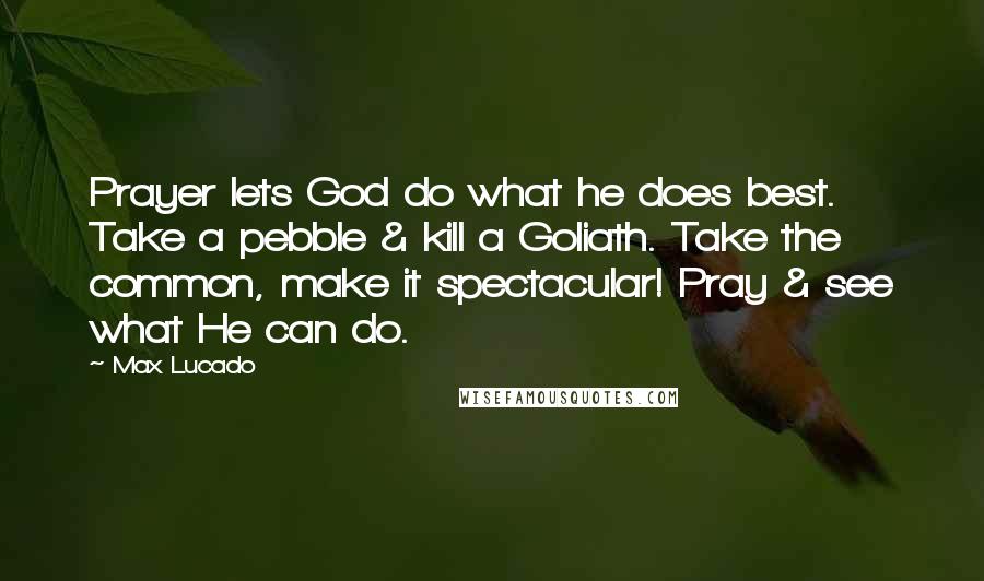 Max Lucado Quotes: Prayer lets God do what he does best. Take a pebble & kill a Goliath. Take the common, make it spectacular! Pray & see what He can do.