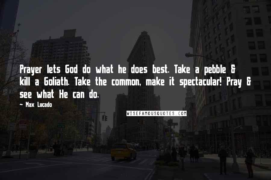 Max Lucado Quotes: Prayer lets God do what he does best. Take a pebble & kill a Goliath. Take the common, make it spectacular! Pray & see what He can do.