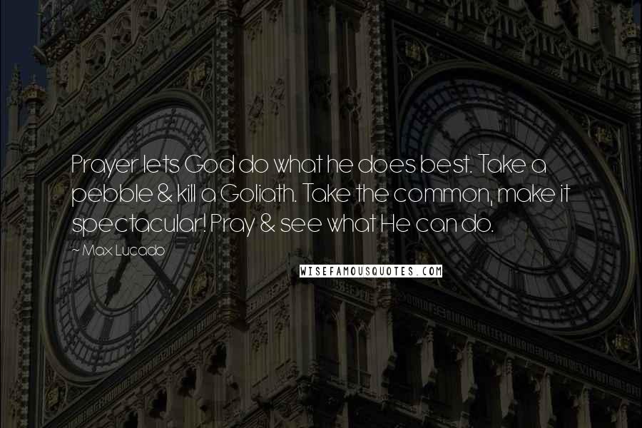 Max Lucado Quotes: Prayer lets God do what he does best. Take a pebble & kill a Goliath. Take the common, make it spectacular! Pray & see what He can do.