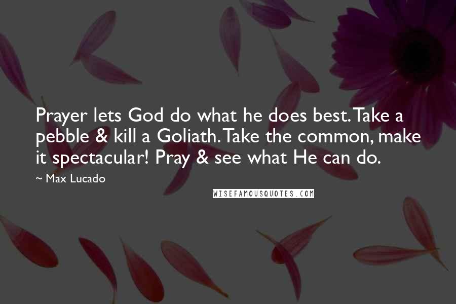 Max Lucado Quotes: Prayer lets God do what he does best. Take a pebble & kill a Goliath. Take the common, make it spectacular! Pray & see what He can do.