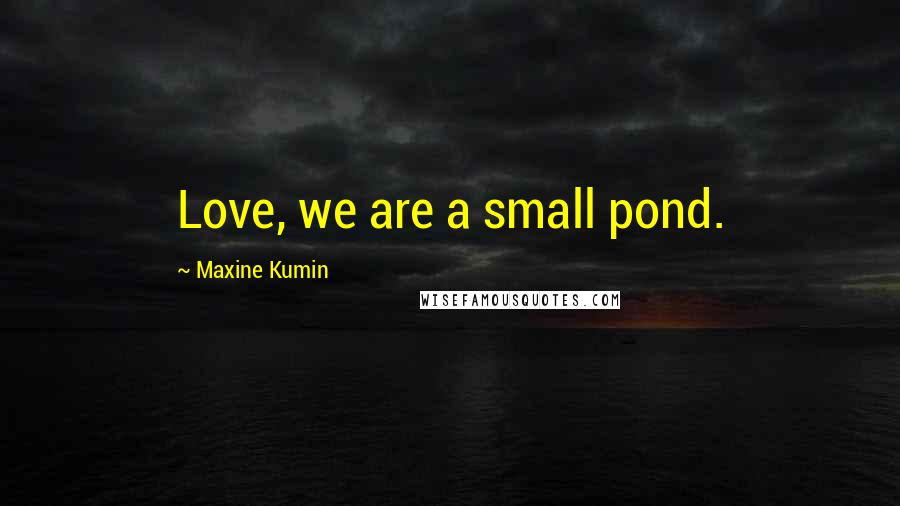 Maxine Kumin Quotes: Love, we are a small pond.