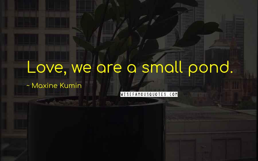 Maxine Kumin Quotes: Love, we are a small pond.