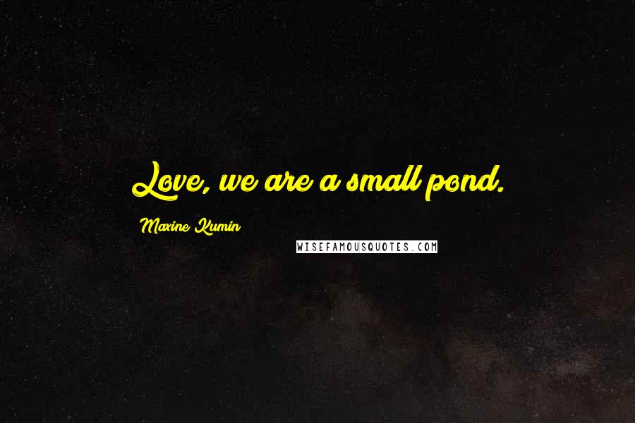 Maxine Kumin Quotes: Love, we are a small pond.