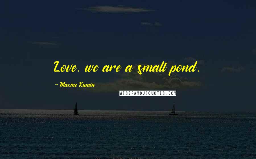 Maxine Kumin Quotes: Love, we are a small pond.