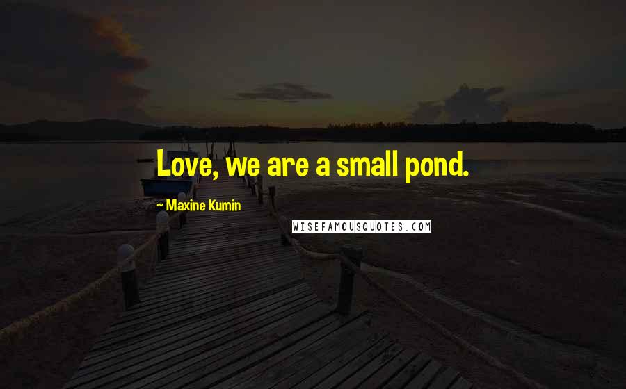 Maxine Kumin Quotes: Love, we are a small pond.