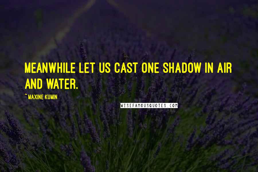 Maxine Kumin Quotes: Meanwhile let us cast one shadow in air and water.