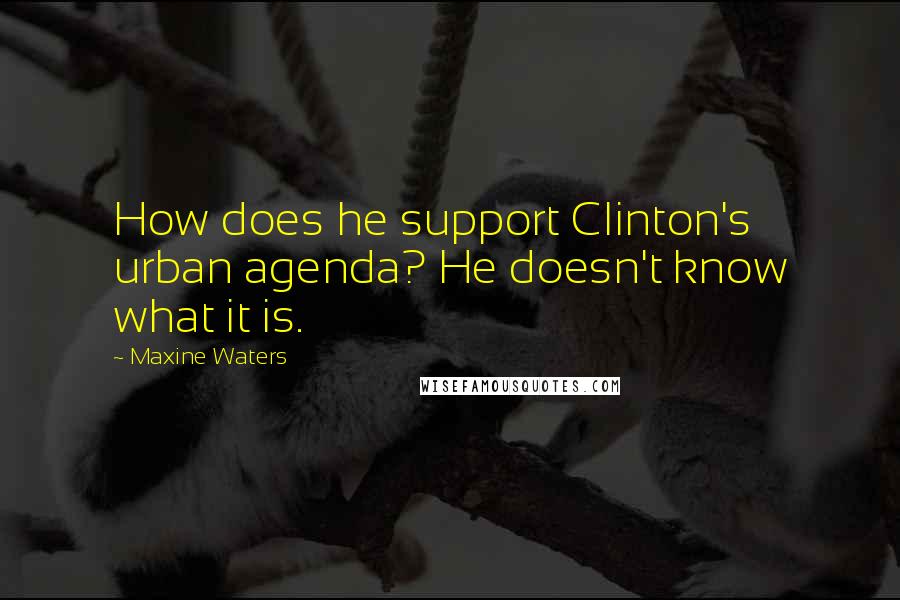 Maxine Waters Quotes: How does he support Clinton's urban agenda? He doesn't know what it is.