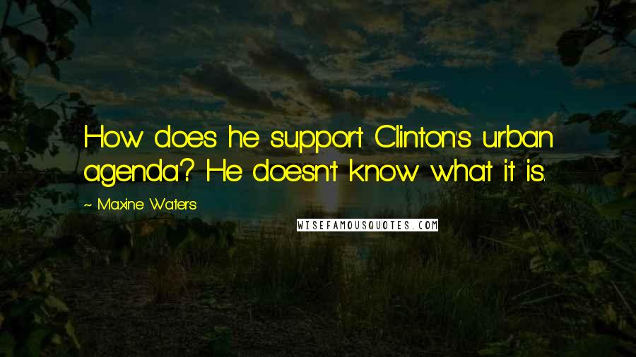 Maxine Waters Quotes: How does he support Clinton's urban agenda? He doesn't know what it is.