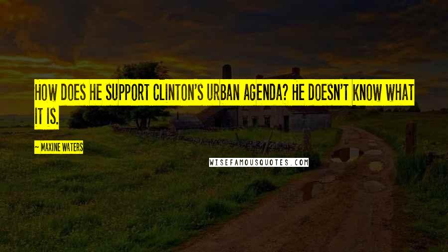 Maxine Waters Quotes: How does he support Clinton's urban agenda? He doesn't know what it is.