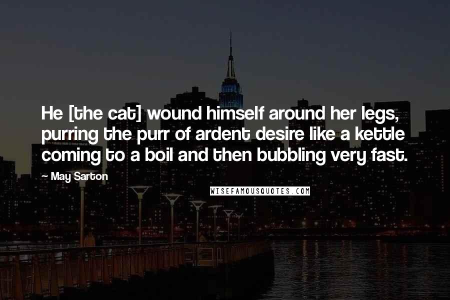 May Sarton Quotes: He [the cat] wound himself around her legs, purring the purr of ardent desire like a kettle coming to a boil and then bubbling very fast.