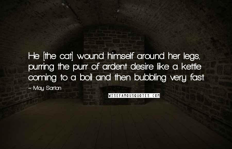 May Sarton Quotes: He [the cat] wound himself around her legs, purring the purr of ardent desire like a kettle coming to a boil and then bubbling very fast.