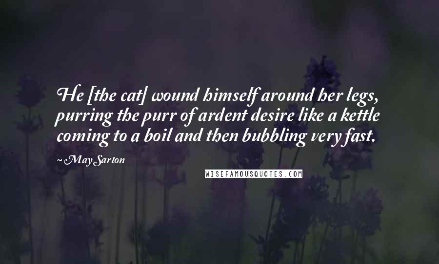 May Sarton Quotes: He [the cat] wound himself around her legs, purring the purr of ardent desire like a kettle coming to a boil and then bubbling very fast.