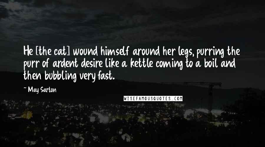 May Sarton Quotes: He [the cat] wound himself around her legs, purring the purr of ardent desire like a kettle coming to a boil and then bubbling very fast.