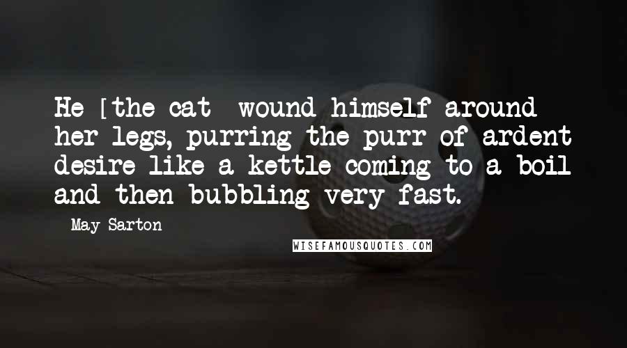 May Sarton Quotes: He [the cat] wound himself around her legs, purring the purr of ardent desire like a kettle coming to a boil and then bubbling very fast.